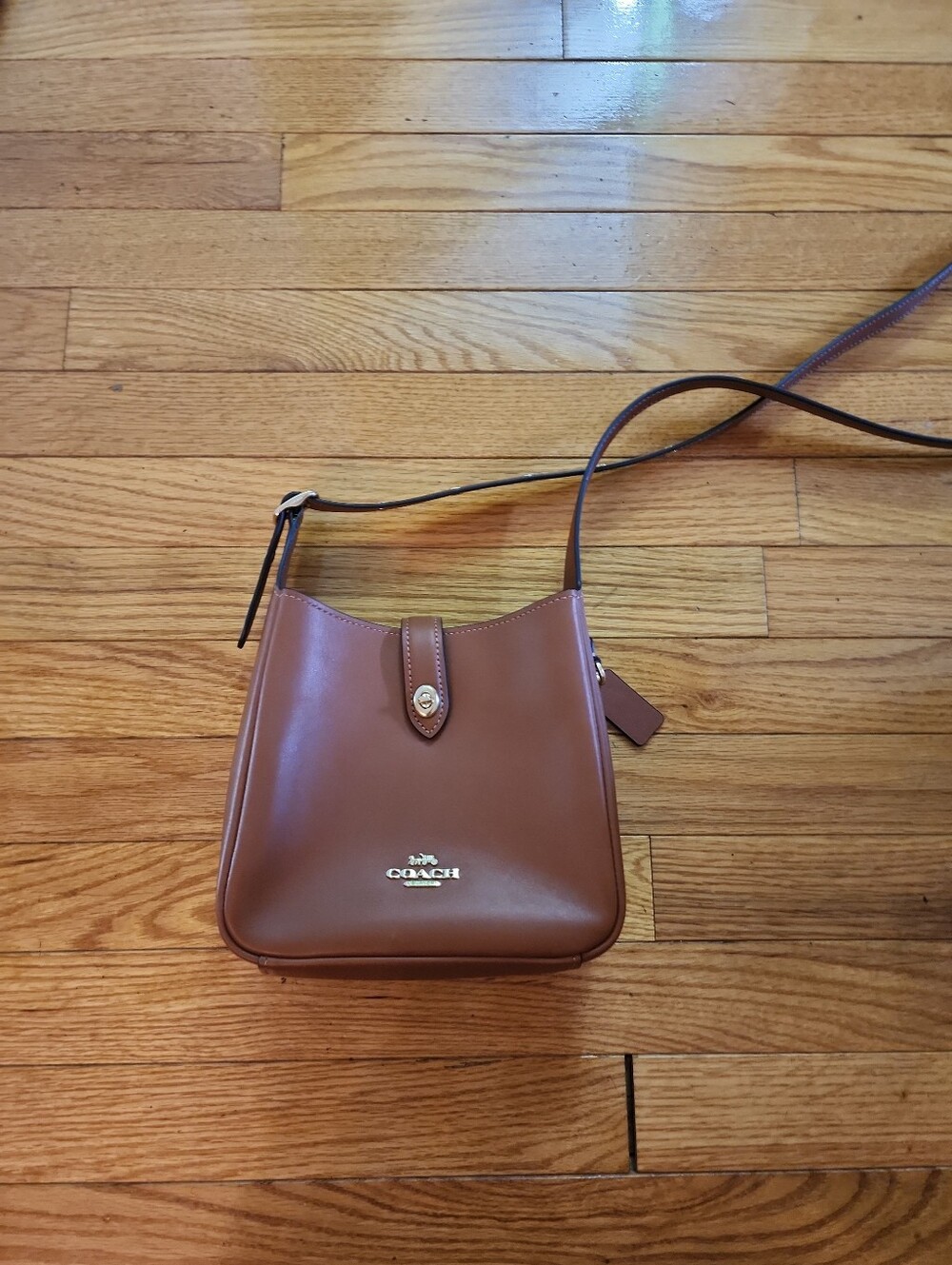 Coach Hadley Mini Tan Leather Crossbody with Gold Hardware - Picture 12 of 14